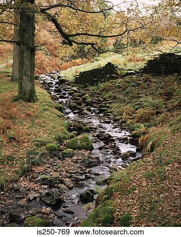 Stock Photo - Autumn stream. Fotosearch