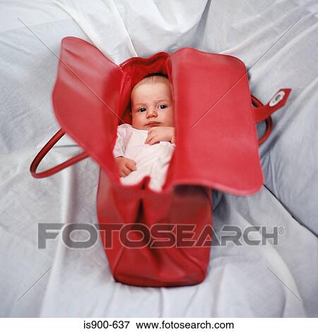 Stock Photo - Baby in handbag. Fotosearch