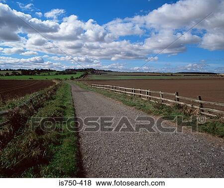 Road through rural landscape View Large Photo Image Stock Photo - Road through rural landscape. Fotosearch