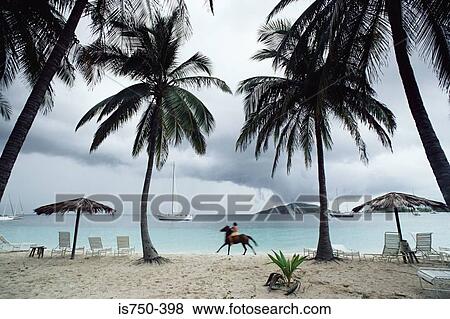 Stock Photo - Horserider on tropical beach. Fotosearch