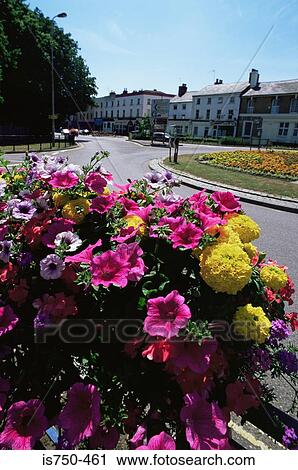 Stock Image - Aldershot in the summer. Fotosearch