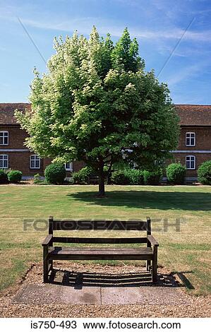 Stock Image - Park bench in st. albans. Fotosearch