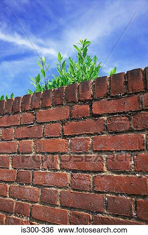 Stock Photograph - Red brick wall. Fotosearch