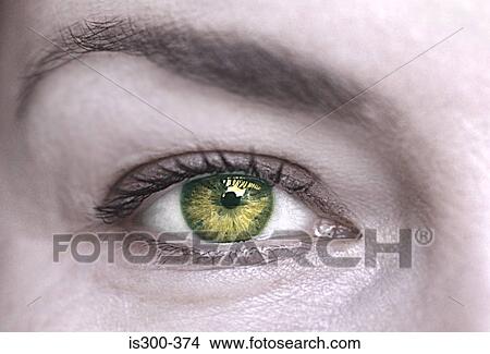 Picture - Woman with green eye. Fotosearch