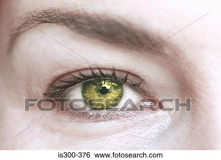 Woman with green eye View Large Photo Image Stock Photograph - Woman with green eye. Fotosearch