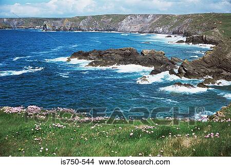 Cornwall coastline View Large Photo Image Picture - Cornwall coastline. Fotosearch