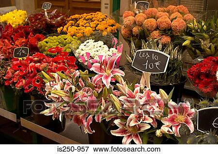Flower stall View Large Photo Image Stock Photo - Flower stall. Fotosearch