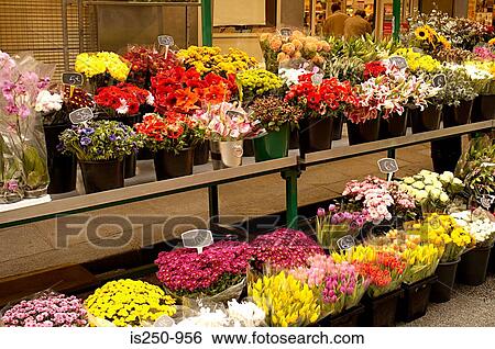 Flower stall View Large Photo Image Stock Photograph - Flower stall. Fotosearch