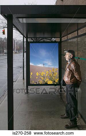 Man standing at bus shelter View Large Photo Image Stock Photo - Man standing at bus shelter. Fotosearch