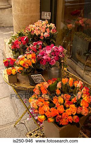 Roses outside paris florist View Large Photo Image Stock Photograph - Roses outside paris florist. Fotosearch