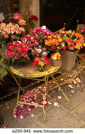 Roses outside paris florist View Large Photo Image Stock Photography - Roses outside paris florist. Fotosearch