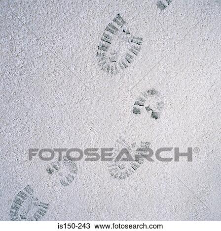 Black footprints on a carpet View Large Photo Image Stock Image - Black footprints on a carpet. Fotosearch