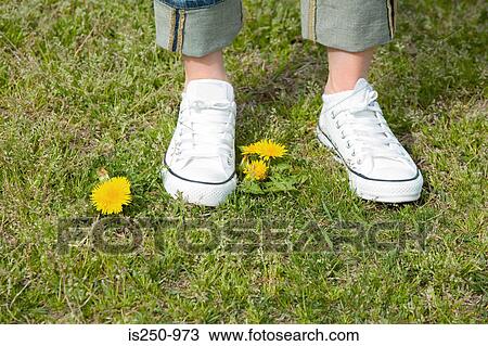 Stock Image - Close-up of trainers. Fotosearch