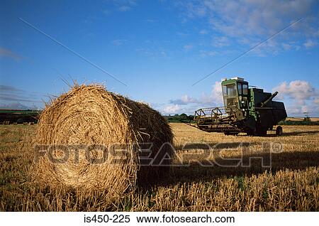 Combine harvester and hay bales View Large Photo Image Stock Photography - Combine harvester and hay bales. Fotosearch
