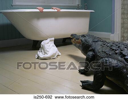 Crocodile in the bathroom View Large Photo Image Stock Image - Crocodile in the bathroom. Fotosearch