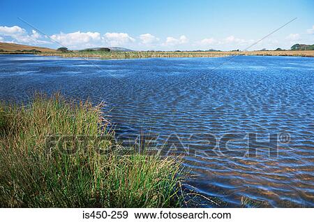 Lake View Large Photo Image Stock Photo - Lake. Fotosearch