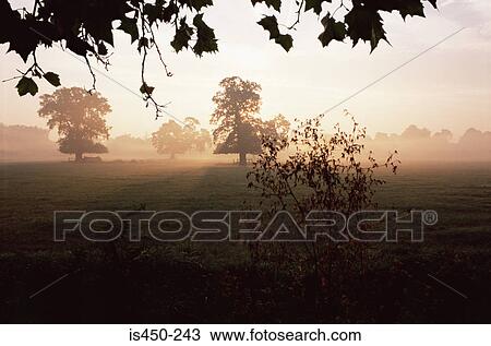 Stock Image - Misty landscape. Fotosearch