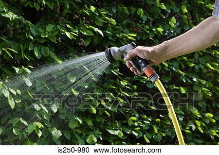 Stock Image - Person using a hosepipe. Fotosearch