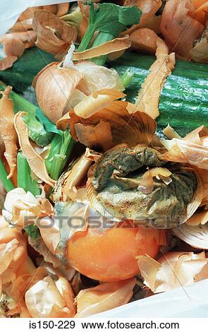 Rotten vegetables for compost View Large Photo Image Stock Photo - Rotten vegetables for compost. Fotosearch