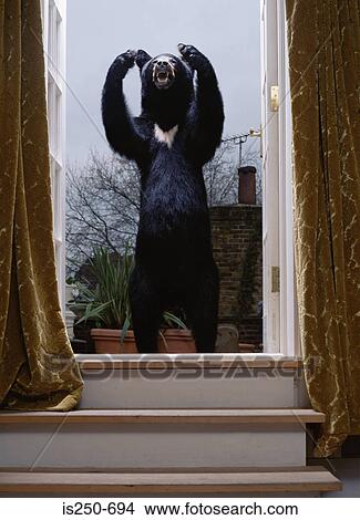 Stuffed bear at the window View Large Photo Image Picture - Stuffed bear at the window. Fotosearch