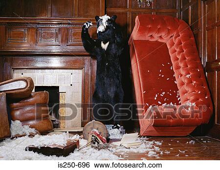 Stuffed bear with broken furniture View Large Photo Image Stock Photograph - Stuffed bear with broken furniture. Fotosearch