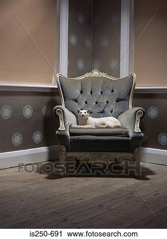 Stuffed cat in an armchair View Large Photo Image Stock Image - Stuffed cat in an armchair. Fotosearch