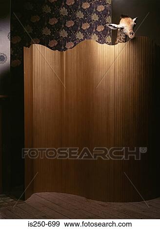 Stock Photo - Stuffed giraffe behind a screen. Fotosearch