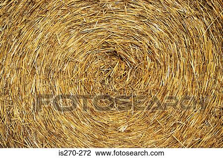 Bale of hay View Large Photo Image Stock Image - Bale of hay. Fotosearch