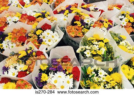 Picture - Bunches of flowers. Fotosearch