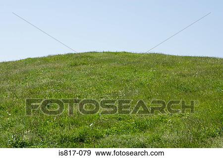 Grassy hill View Large Photo Image Stock Photo - Grassy hill. Fotosearch