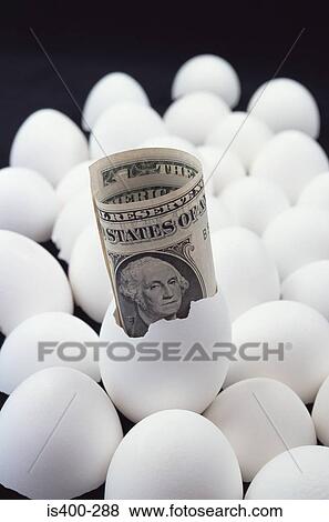 Stock Photo - One dollar in an egg. Fotosearch