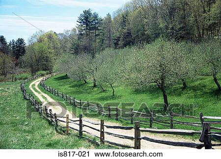 Orchard in spring View Large Photo Image Stock Image - Orchard in spring. Fotosearch