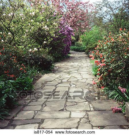 Picture - Path through a garden. Fotosearch