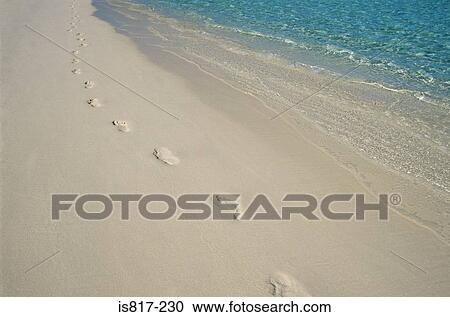 Footprints on a beach View Large Photo Image Stock Image - Footprints on a beach. Fotosearch