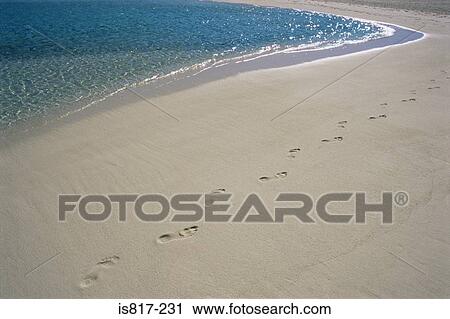 Footprints on a beach View Large Photo Image Stock Image - Footprints on a beach. Fotosearch