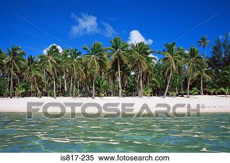 Tropical beach View Large Photo Image Stock Photography - Tropical beach. Fotosearch