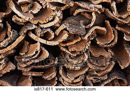 Stock Image - A pile of bark. Fotosearch
