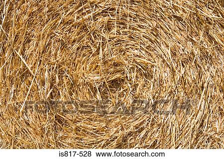 Bale of hay View Large Photo Image Stock Photo - Bale of hay. Fotosearch