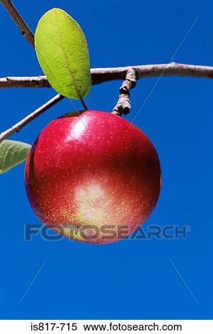 Stock Photography - Buildings and Concepts. Fotosearch