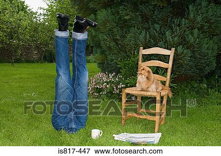 Confused dog looking at mannequin legs View Large Photo Image Stock Photo - Confused dog looking at mannequin legs. Fotosearch