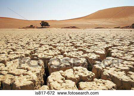 Cracked soil in desert View Large Photo Image Stock Image - Cracked soil in desert. Fotosearch