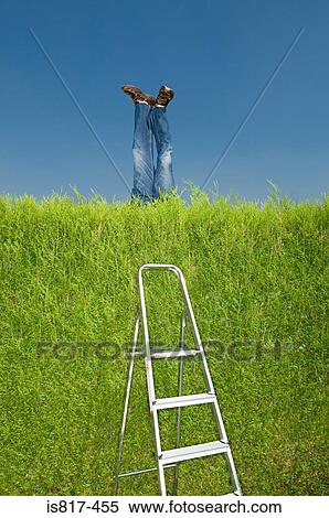 Legs of mannequin behind hedge View Large Photo Image Stock Photography - Legs of mannequin behind hedge. Fotosearch