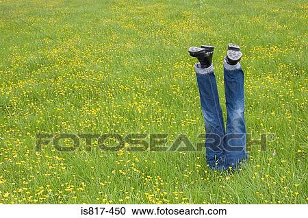 Stock Image - Mannequin legs in a field. Fotosearch