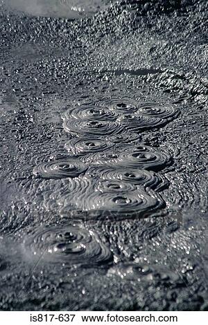 Pattern in mud View Large Photo Image Stock Photo - Pattern in mud. Fotosearch