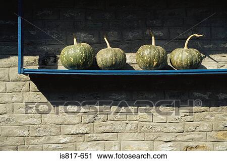Pumpkins on a shelf View Large Photo Image Stock Image - Pumpkins on a shelf. Fotosearch