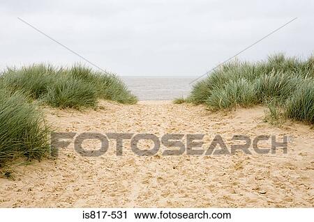 Stock Image - Sand dune. Fotosearch
