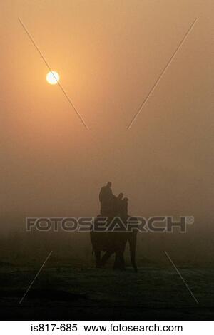 Silhouetted people riding a elephant View Large Photo Image Stock Photography - Silhouetted people riding a elephant. Fotosearch