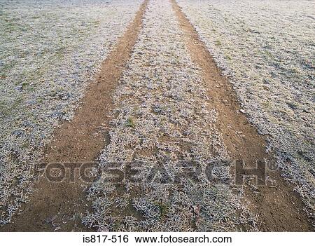 Stock Photograph - Tracks in frosty grass. Fotosearch