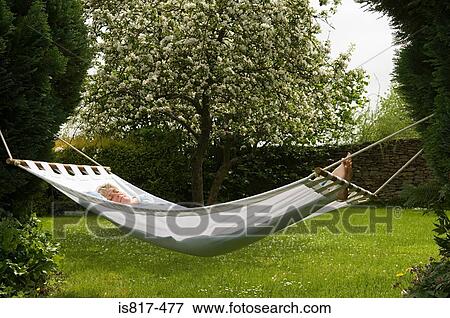Woman asleep in hammock View Large Photo Image Stock Photo - Woman asleep in hammock. Fotosearch
