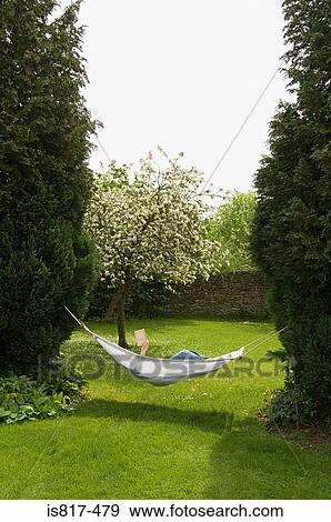 Woman in hammock reading book View Large Photo Image Stock Photo - Woman in hammock reading book. Fotosearch